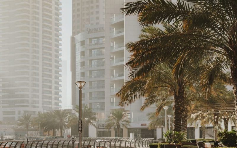 Omega Hotel Dubai Everything You Need to Know for Your Stay or Investment